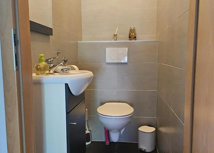 Welcome To Angele 'homes 2 * Niederbronn-les-Bains